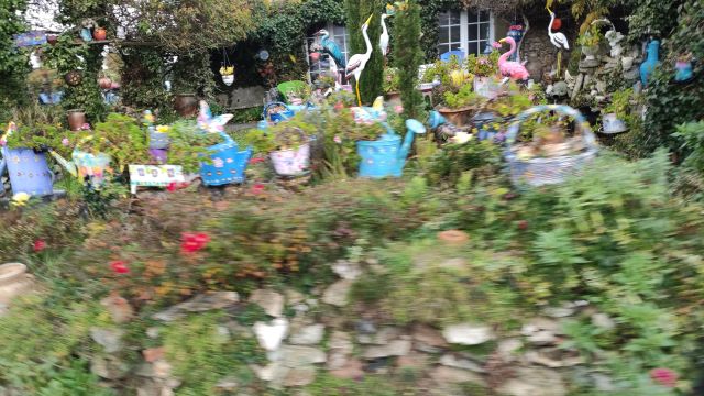 2021-11-21 - commequiers (11)
