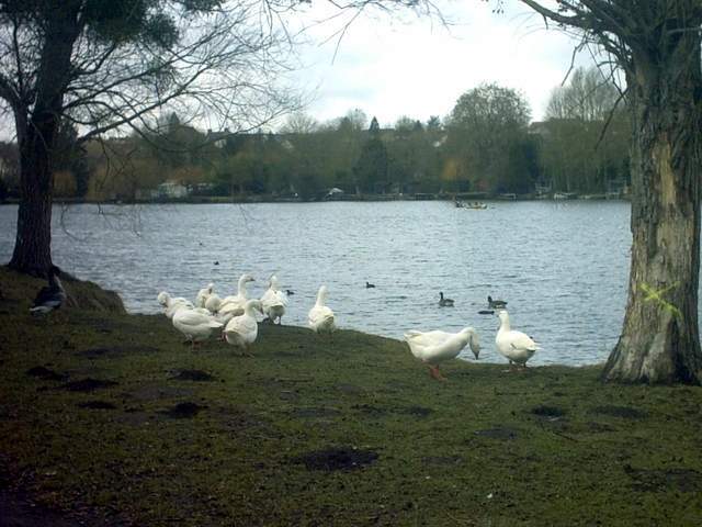 2007-02-10 - bondoufloise (05)