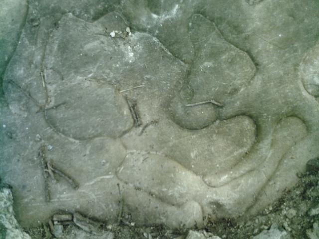 2010-06-25-etampes (05)