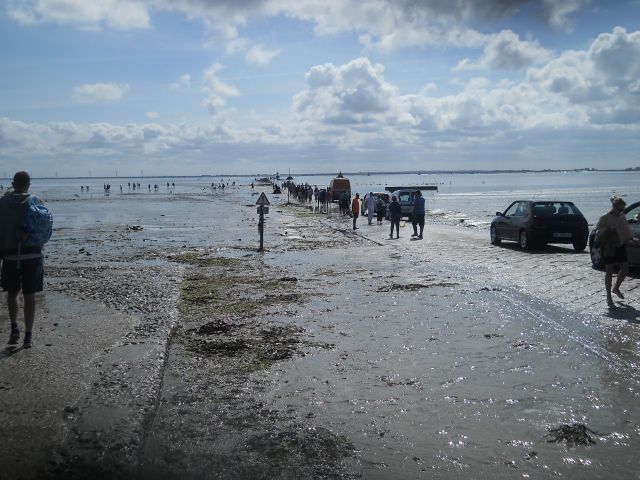 2014-07-14- barbatre (10)