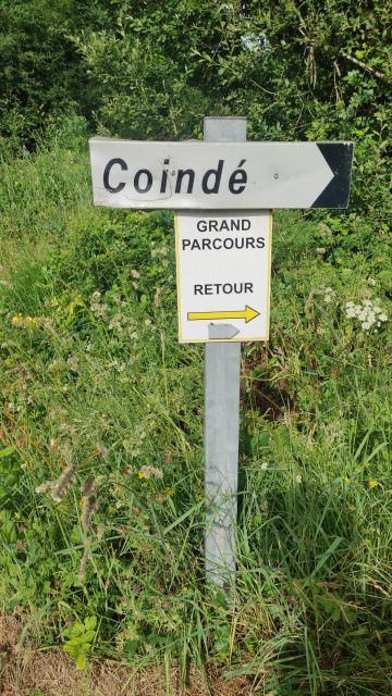 2022-05-22 - martinet (20)