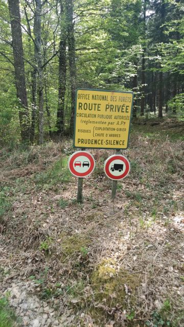 2022-05-02 - sille (24)