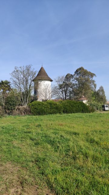 2022-04-17 - st-colomban (12)
