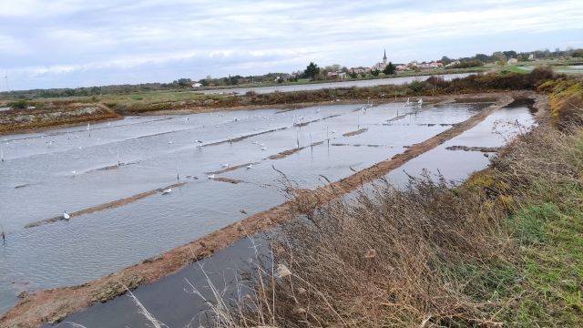 2022-10-23 - les sables-d olonne (14)