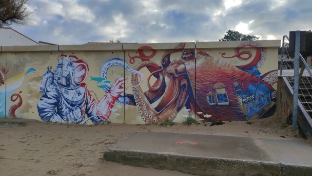 2022-12-11 - la-barre-de-monts (16)