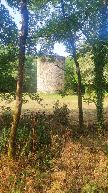 2022-06-19 - beaulieu-sous-la-roche (09)