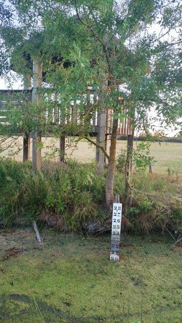 2022-07-23 - bois-de-cene (09)