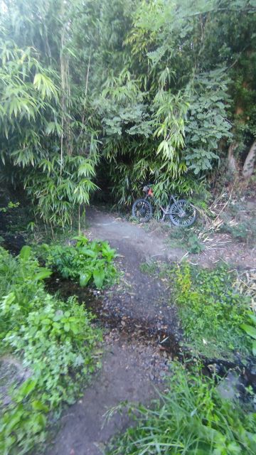 2022-09-11 - saint-aignan-grandlieu (18)