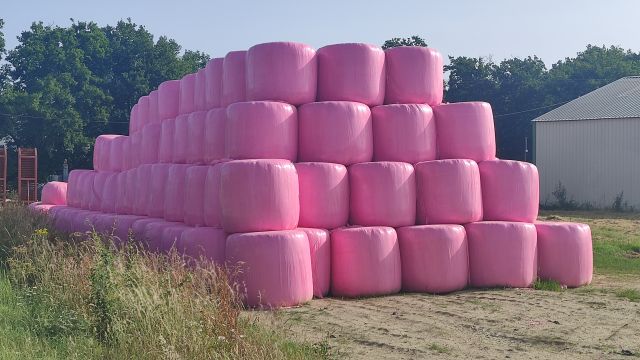 2022-06-18 - beaufou (02)