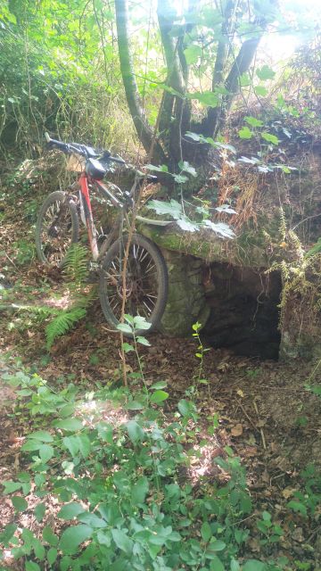 2022-06-19 - beaulieu-sous-la-roche (14)