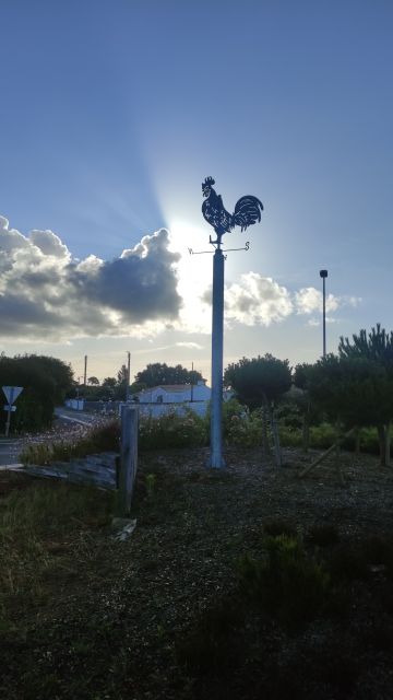 2022-06-26 - challans (03)
