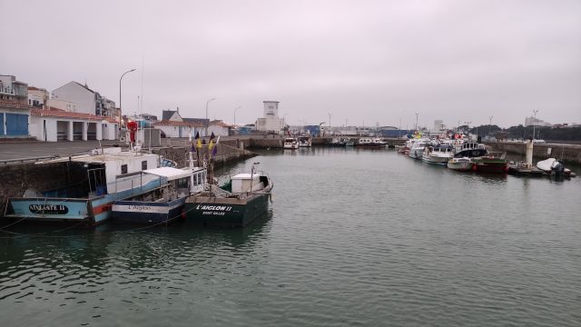 2022-01-23 - brem-sur-mer (02)