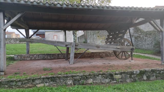 2022-10-16 - bellevigny (08)