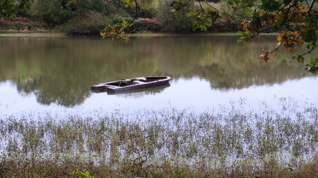 2022-10-30 - la chapelle-hermier (10)