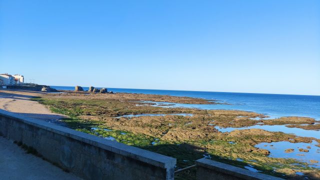 2022-07-10 - l-ile d-olonne (05)