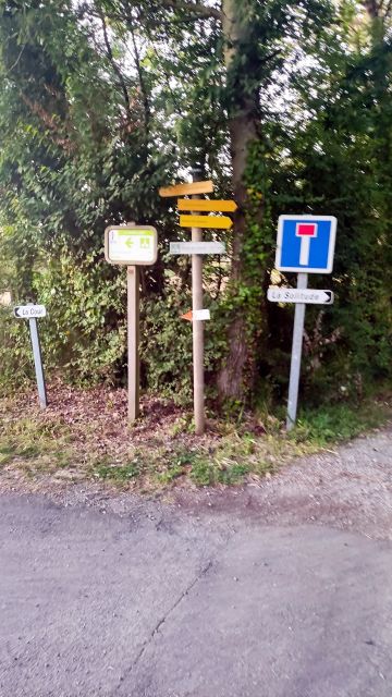 2022-07-23 - bois-de-cene (11)