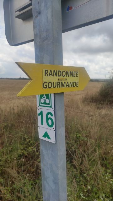 2022-08-16 - les achards (20)