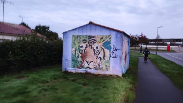 2022-10-16 - bellevigny (02)