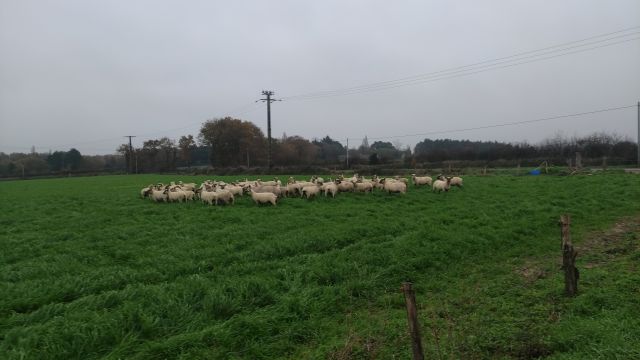 2022-11-27 - la chapelle-hermier (05)