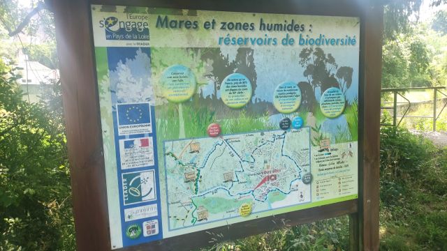 2022-06-19 - beaulieu-sous-la-roche (19)
