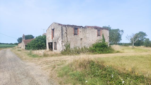 2022-07-17 - olonne-sur-mer (14)