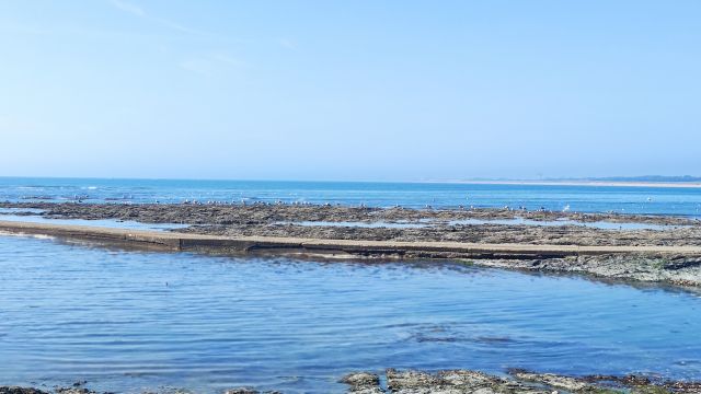 2022-08-30 - givrand (14)