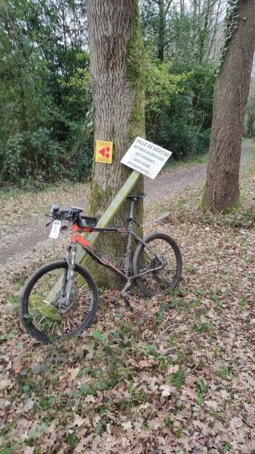 2022-02-06 - vertou (16)