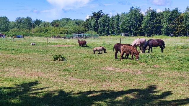 2022-05-24 - saint-hilaire-de-riez (04)