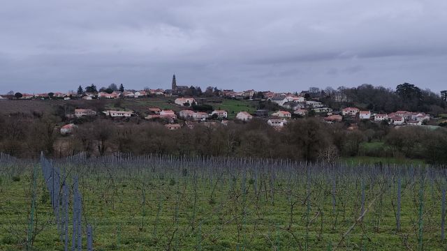 2022-02-06 - vertou (05)