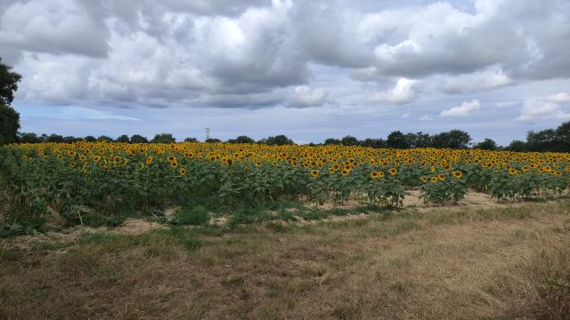 2022-07-26 - la-chapelle-hermier (18)