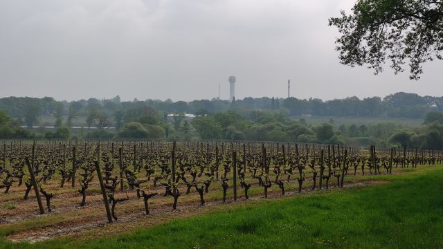 2022-04-24 - fresnay-en-retz (14)