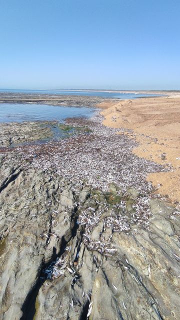2022-08-30 - givrand (13)