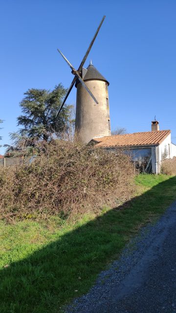2022-02-27 - chauche (12)