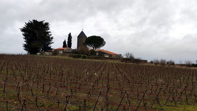 2022-02-06 - vertou (10)