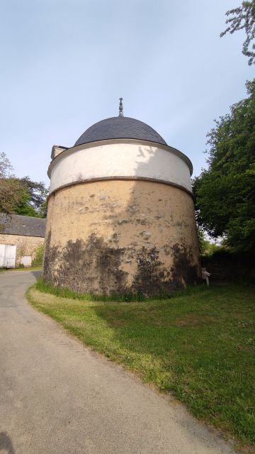 2022-05-02 - sille (11)