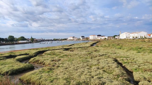 2022-07-28 - olonne-sur-mer (01)