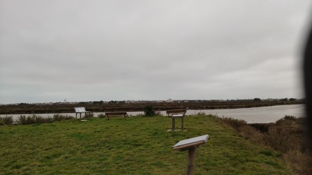 2022-02-01 - saint-hilaire-de-riez (03)