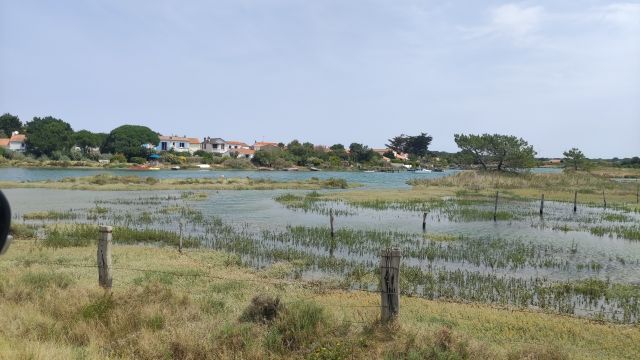 2022-07-17 - olonne-sur-mer (24)
