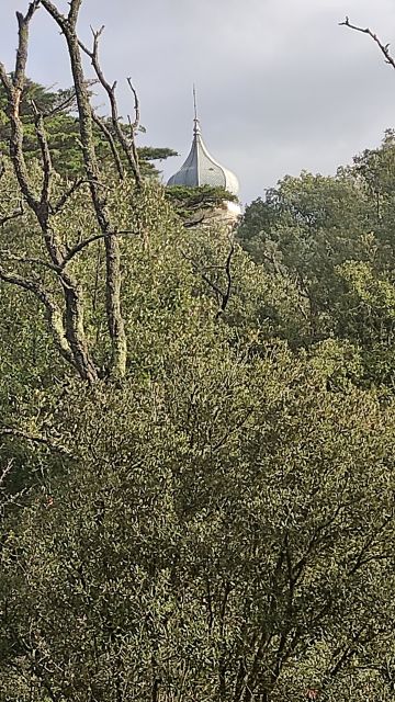 2023-01-10 - notre-dame-de-monts (01)