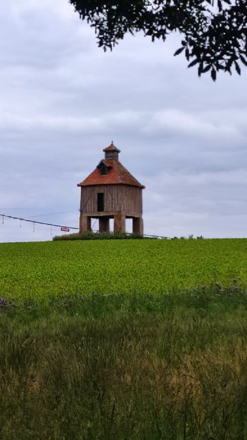 2023-05-18-gimont (45)