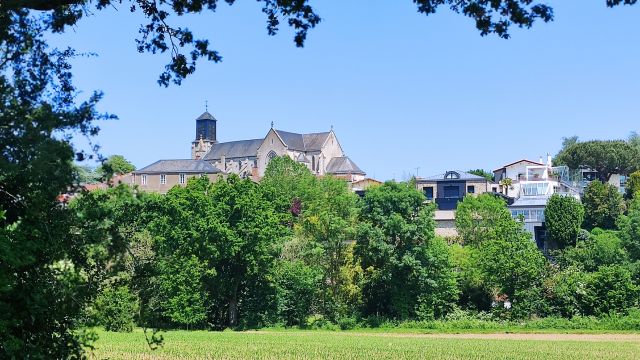 2023-05-28 - saint-georges-de-montaigu (24)