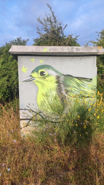 2023-07-16 - chateau-d-olonne (03)