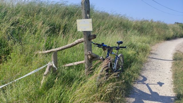 2023-05-29 - beauvoir-sur-mer (05)