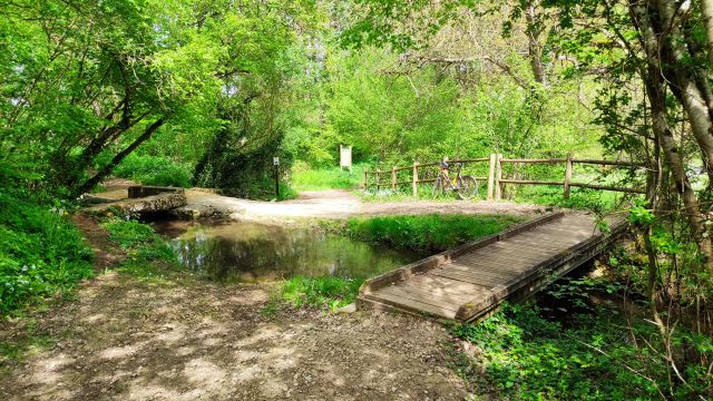 2023-04-28 - saint-benoit (21)