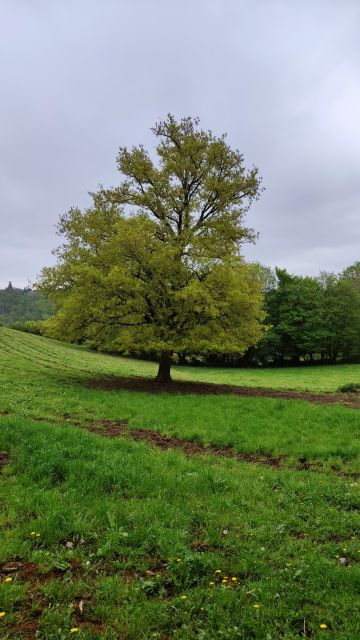 2023-04-29-crozant (14)