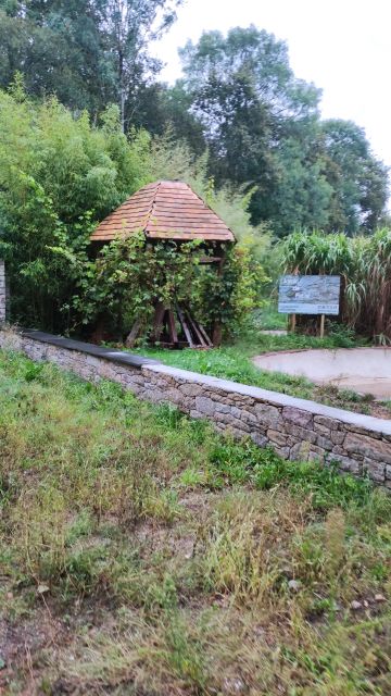 2023-09-17 - st-georges-de-pointindoux (01)