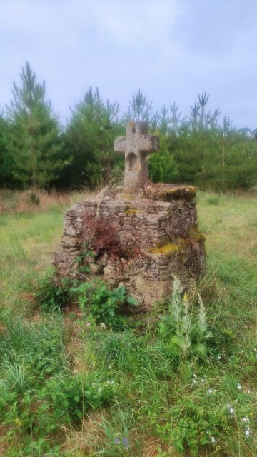 2023-07-23 - haute-perche (06)