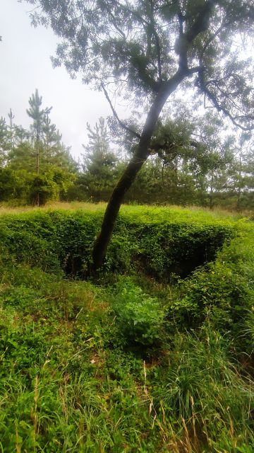 2023-07-23 - haute-perche (07)