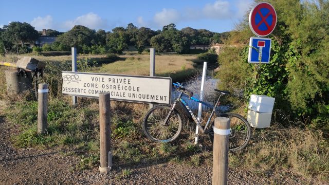 2023-08-06 - talmont-saint-hilaire (05)
