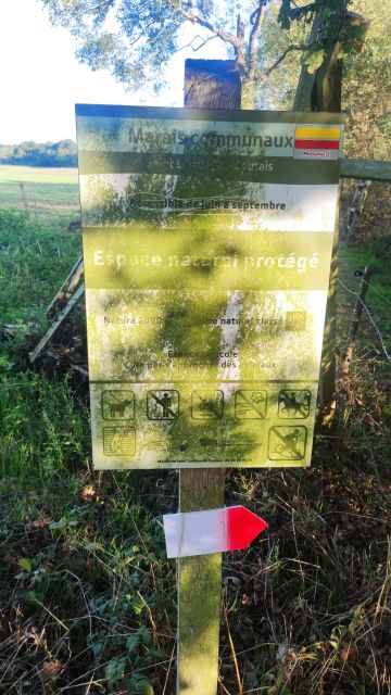 2023-09-23 - st-lumine-de-coutais (03)